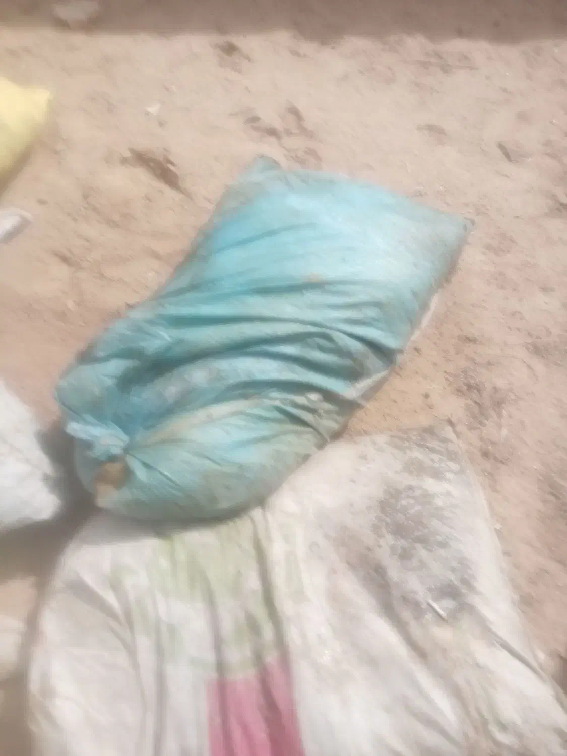 کودگوسفندی|گل و گیاه طبیعی|بردسکن, |دیوار