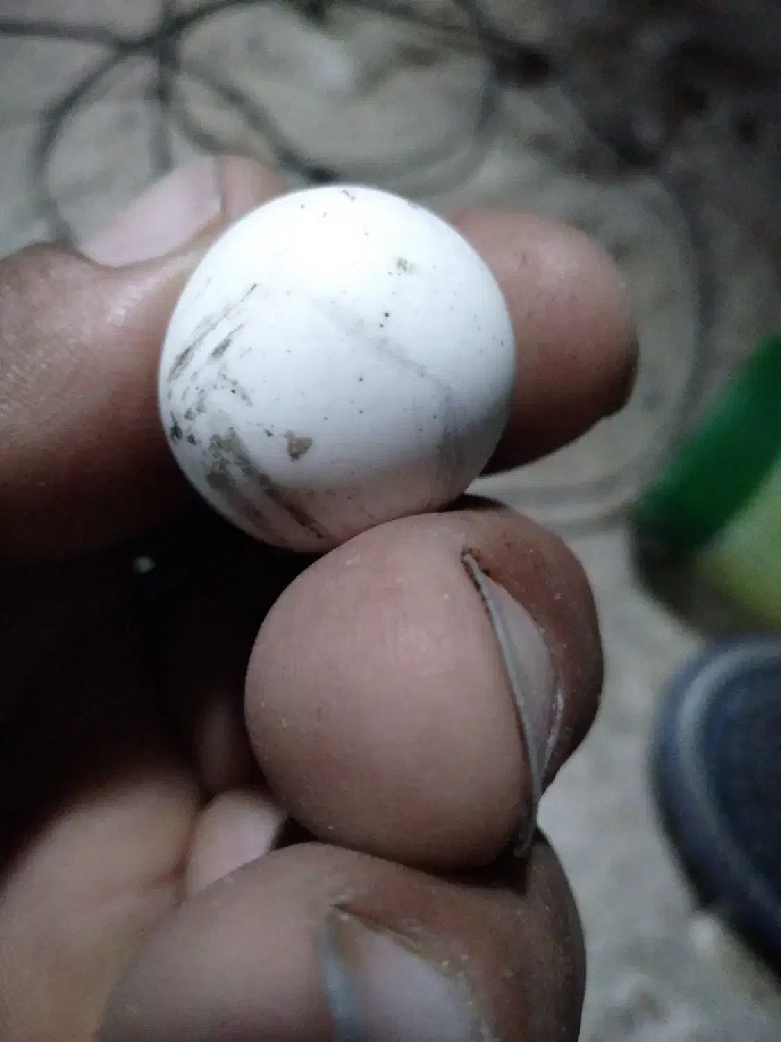 سنگ الماس اسیاب اصلی|فعالیت داوطلبانه|خانمیرزا, |دیوار