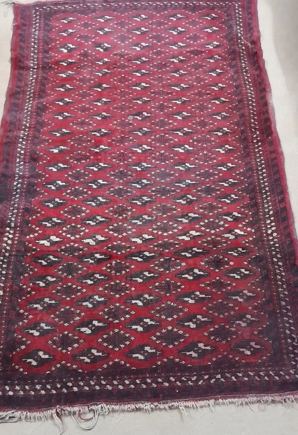 فرش دستباف قدیمی و اصیل ترکمن|فرش|مشهد, استاد یوسفی (شهرک غرب)|دیوار