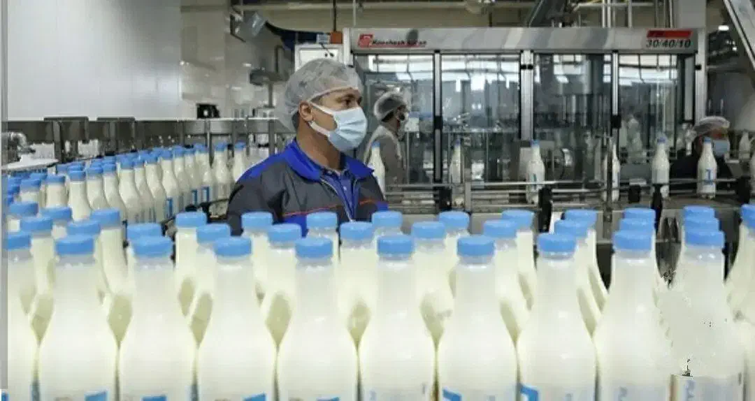 فروش یا معاوضه کارخانه لبنیات باتجهیزات حومه تهران|فروش دفتر صنعتی، کشاورزی، تجاری|تهران, عباسآباد|دیوار