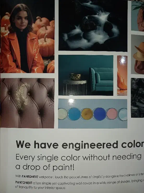 بورس کاغذ دیواری|مصالح و تجهیزات ساختمان|محمودآباد, |دیوار