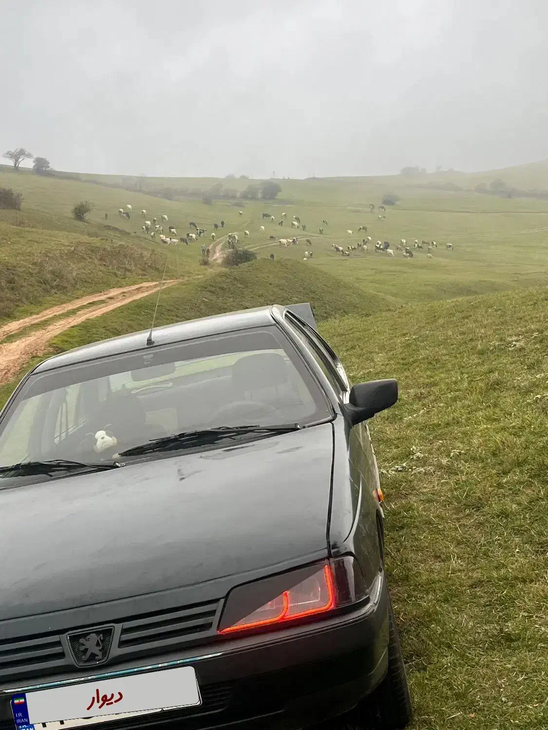 پژو 405 مدل 84|خودرو سواری و وانت|نمین, |دیوار