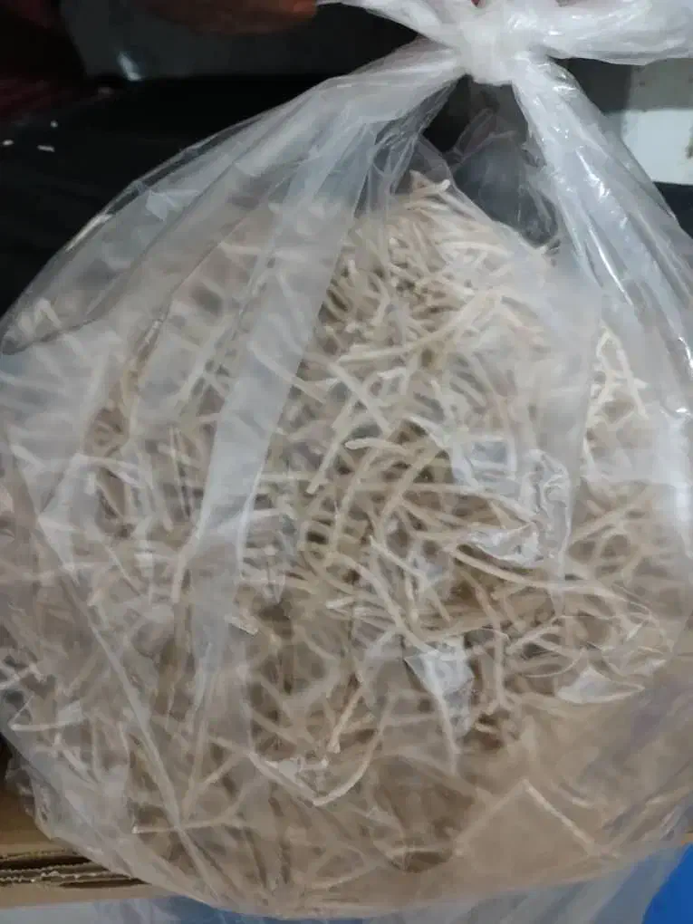 رشته برنجی،نان محلی بل بل|خوردنی و آشامیدنی|بندر دیر, |دیوار