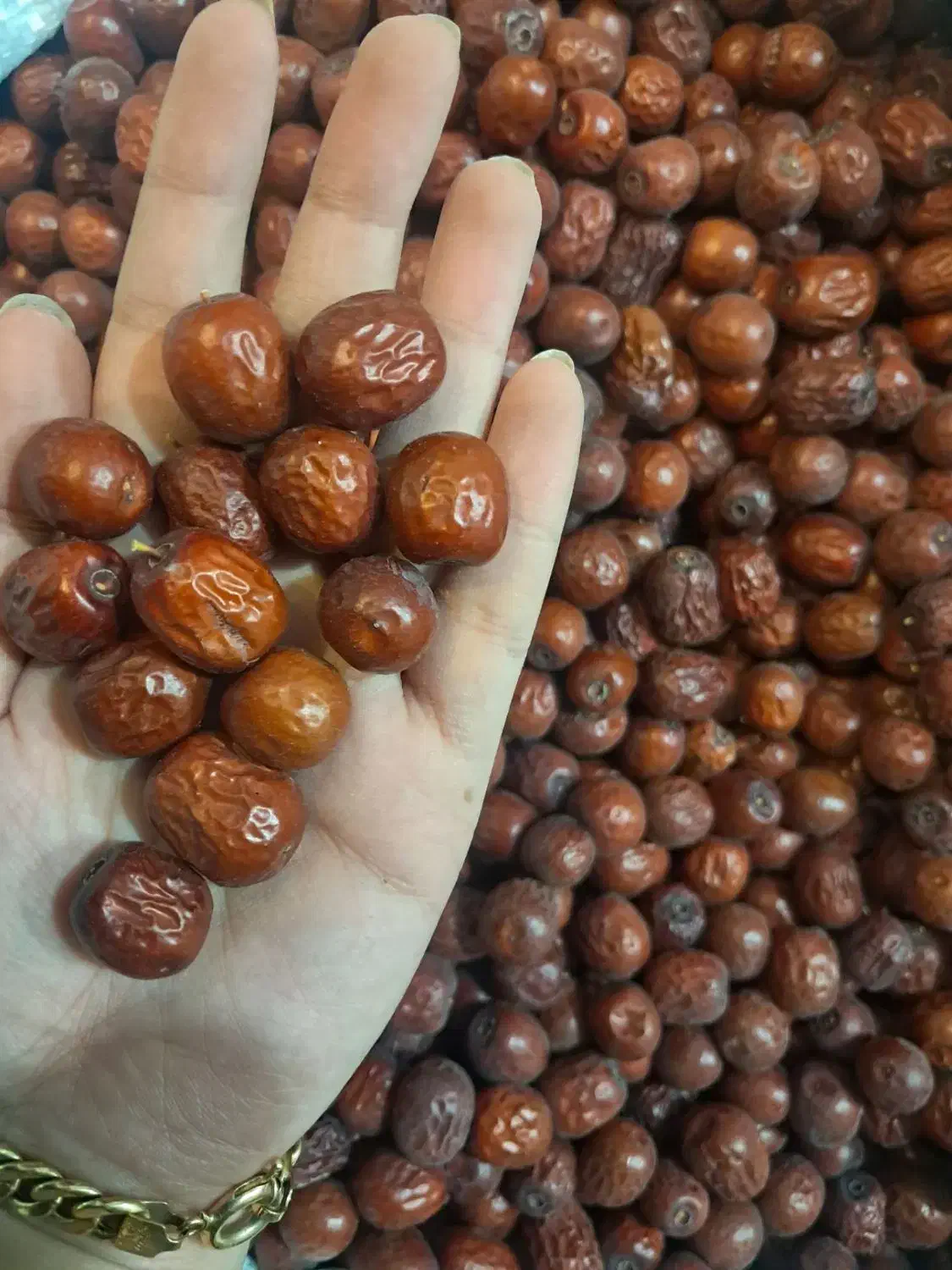 مستقیم از تولیدکننده عناب زرشک کشک مشتی و رشتهای|خوردنی و آشامیدنی|مشهد, نوید|دیوار