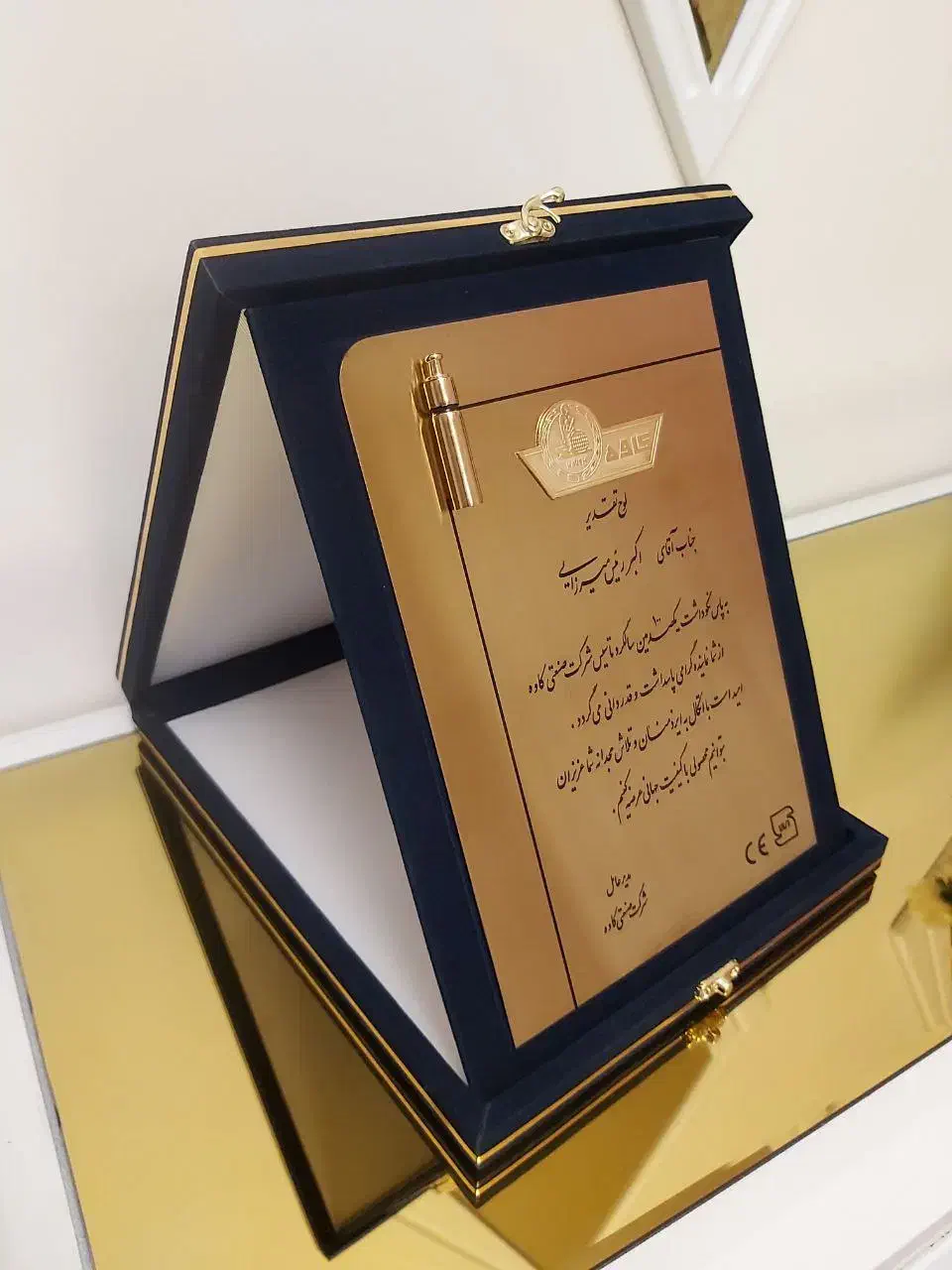 ساخت انواع تندیس|مجسمه، تندیس، ماکت|بیرجند, |دیوار