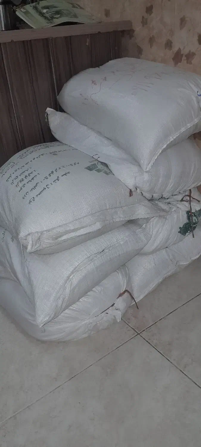 برنج فجر شمال|خوردنی و آشامیدنی|کیش, |دیوار