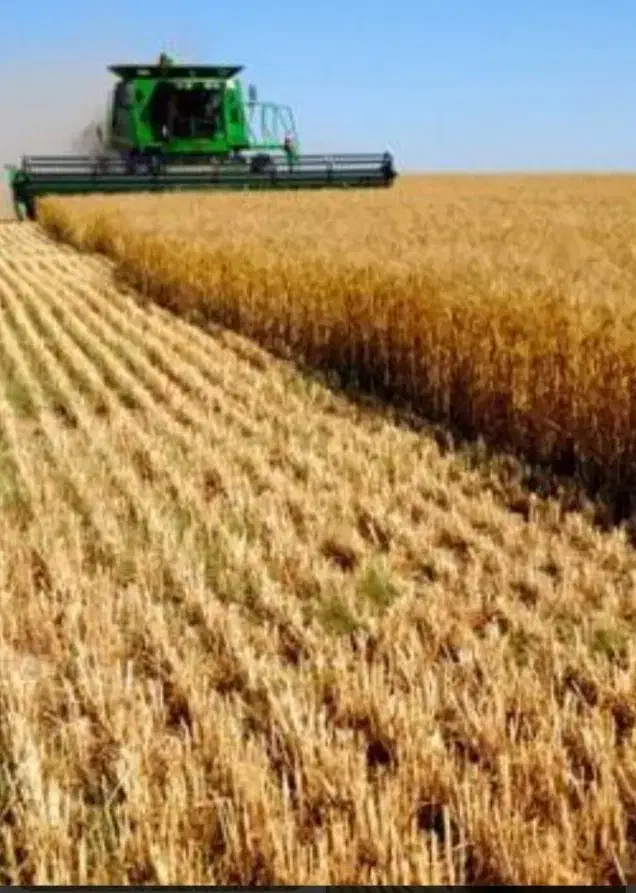 اجاره زمین کشاورزی|اجارهٔ دفتر صنعتی، کشاورزی، تجاری|کلاله, |دیوار