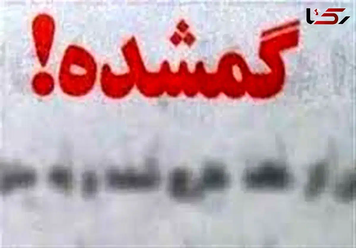 «گمشده»|اشیا|آذرشهر, |دیوار