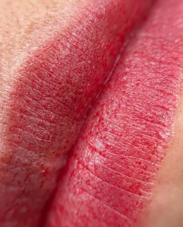 تخفیف ویژه شیدینگ لب و فیبروز ابرو|خدمات آرایشگری و زیبایی|بوشهر, |دیوار