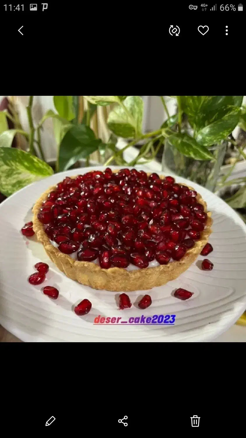 سفارش انواع کیک و دسر خانگی با طعمی فوق العاده|خدمات پذیرایی، مراسم|اهواز, کیانپارس |دیوار