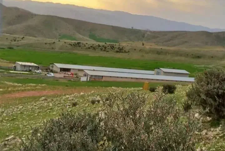 مرغداری فروش یا معاوضه با ملک تو تهران|اجارهٔ دفتر صنعتی، کشاورزی، تجاری|آبدانان, |دیوار