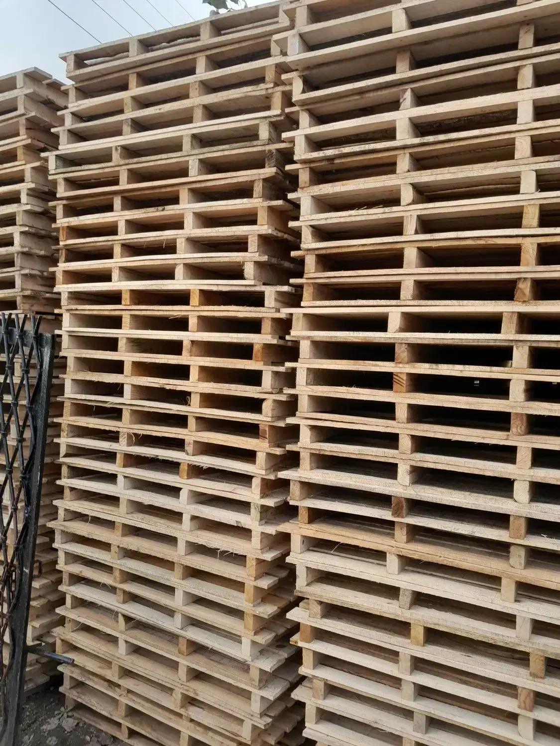 فروش پالت کاشی  قیمت مناسب  نقدی|عمده‌فروشی|شاندرمن, |دیوار