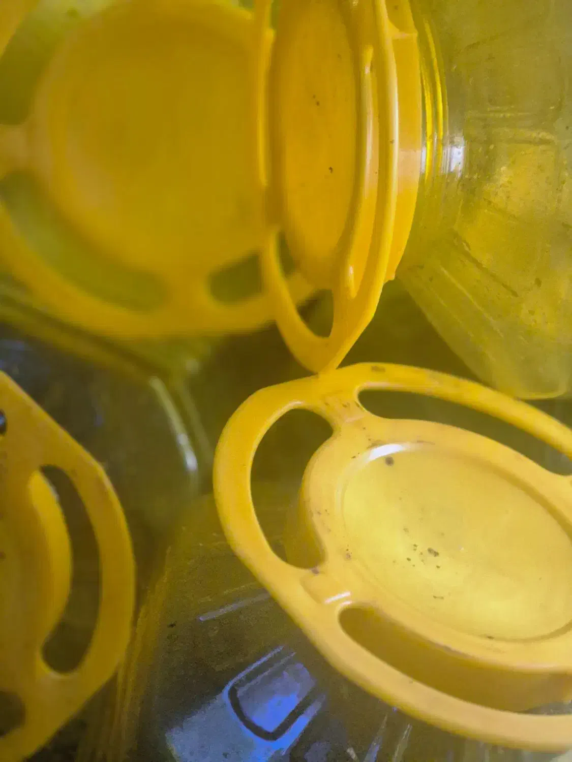 ظرف پلاستیکی|ظروف نگهدارنده، پلاستیکی، یک‌بارمصرف|بندر انزلی, میان پشته|دیوار