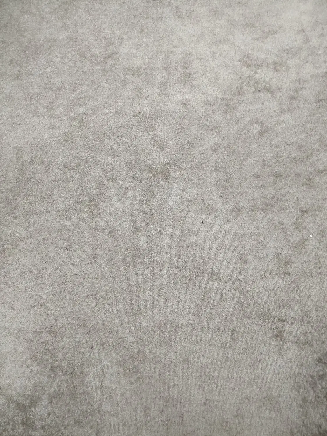 پالاز موکت به رنگ موشی با بهترین کیفیت|موکت|تبریز, |دیوار