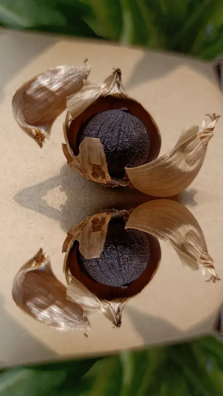 سیر سیاه فرآوری حرارتی|خوردنی و آشامیدنی|ساری, |دیوار