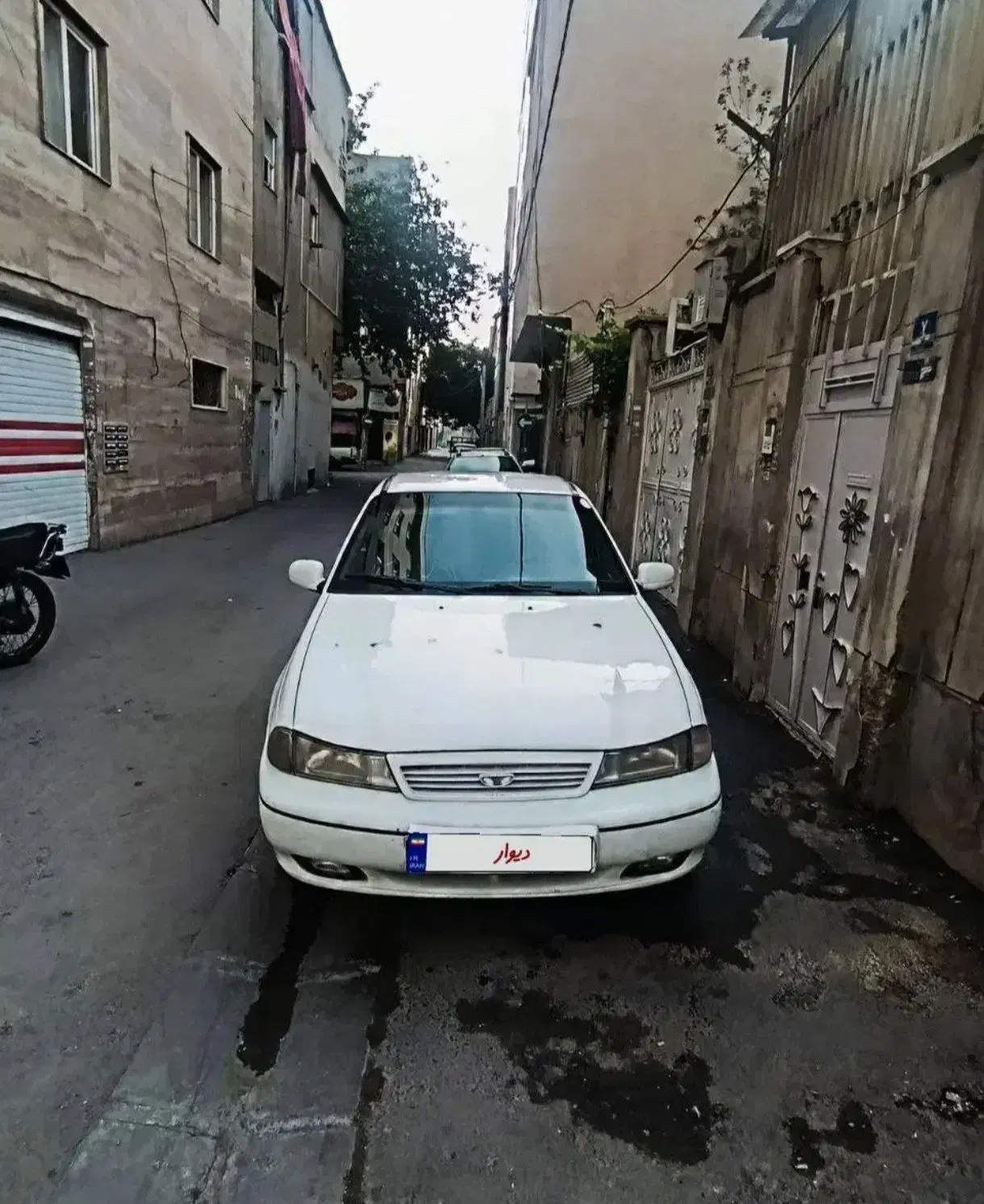دوو سیلو 81|خودرو سواری و وانت|تهران, سجاد|دیوار
