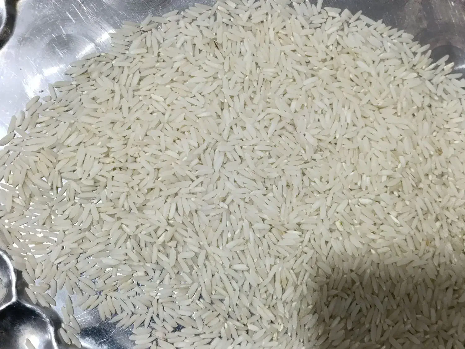 برنج هاشمی|خوردنی و آشامیدنی|سنگر, |دیوار