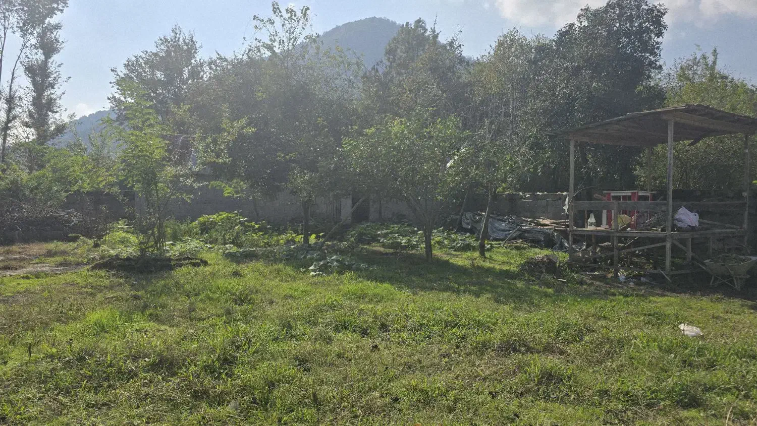 زمین به متراژ ۵۰۰ متر ماسال|فروش زمین و ملک کلنگی|شاندرمن, |دیوار