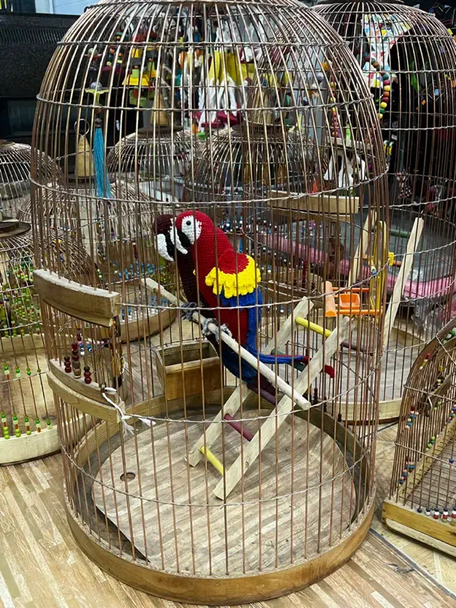 قفس چوبی دست باف|لوازم جانبی حیوانات|یزد, |دیوار