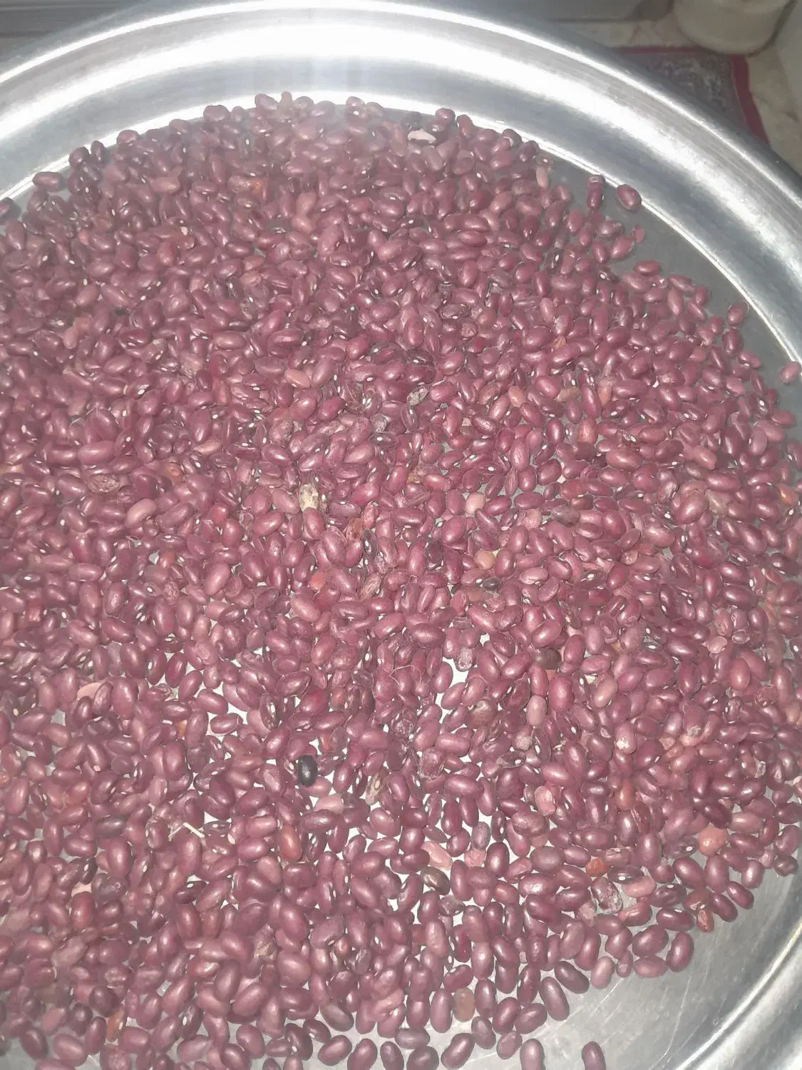 لوبیا قرمز  محلی الیگودرزی|خوردنی و آشامیدنی|بیرانوند, |دیوار