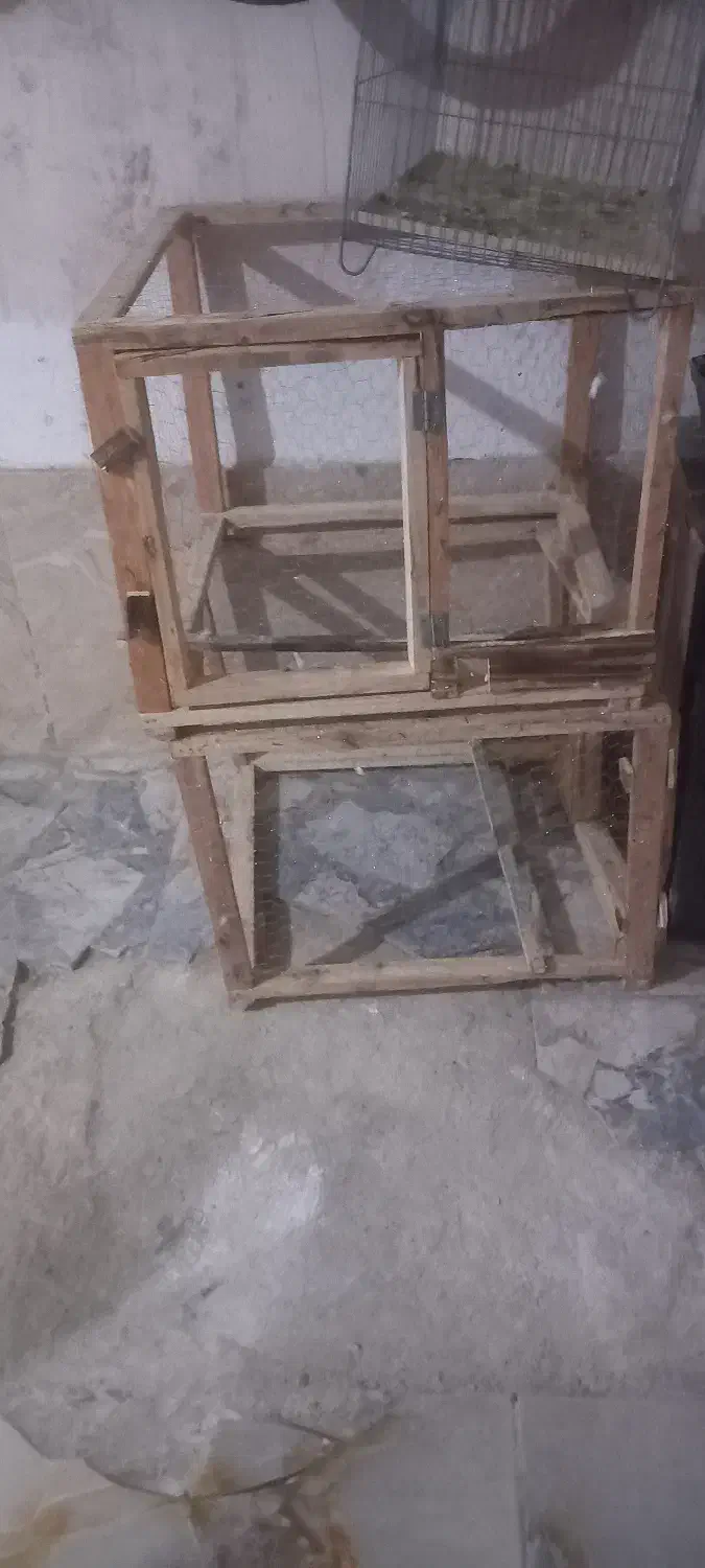 قفس کبوتر مرغ|لوازم جانبی حیوانات|دهگلان, |دیوار