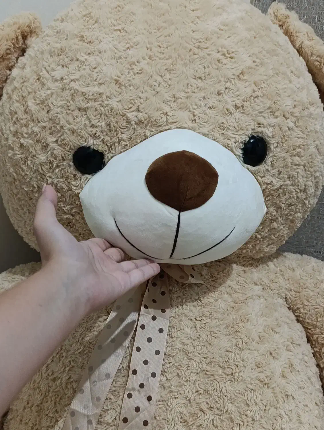 خرس شاسخین|اسباب‌‌بازی|ابهر, |دیوار