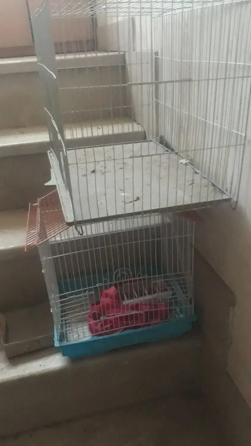 ۲تا قفس پرنده سالم|لوازم جانبی حیوانات|تهران, شارق|دیوار