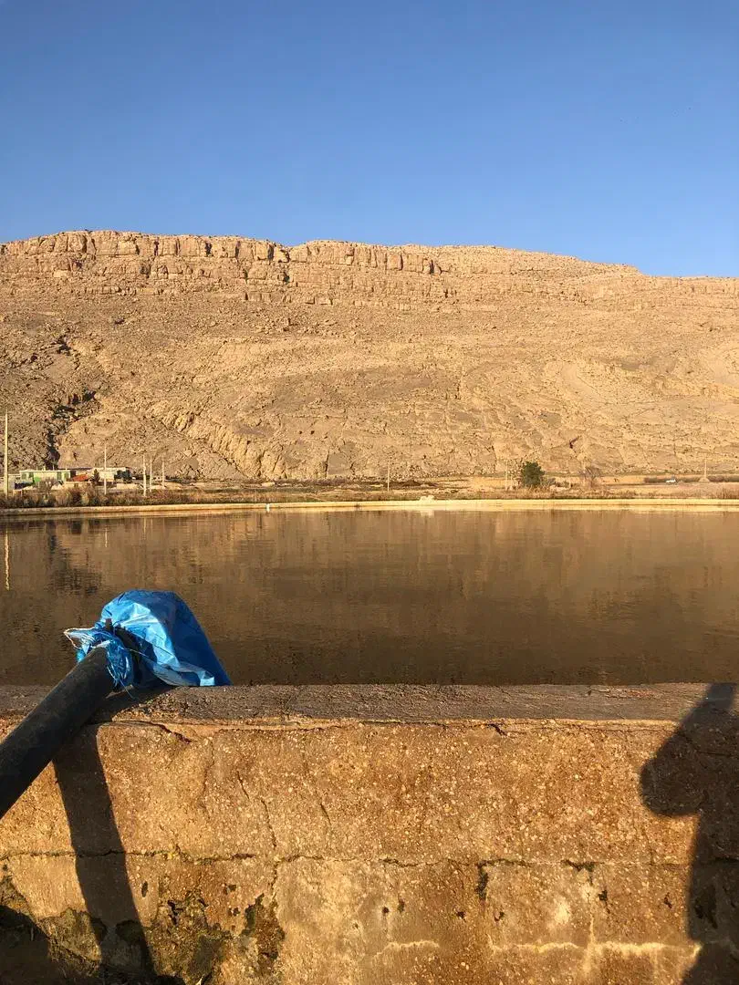 زمین کشاورزی|فروش دفتر صنعتی، کشاورزی، تجاری|مرودشت, محمد آباد|دیوار