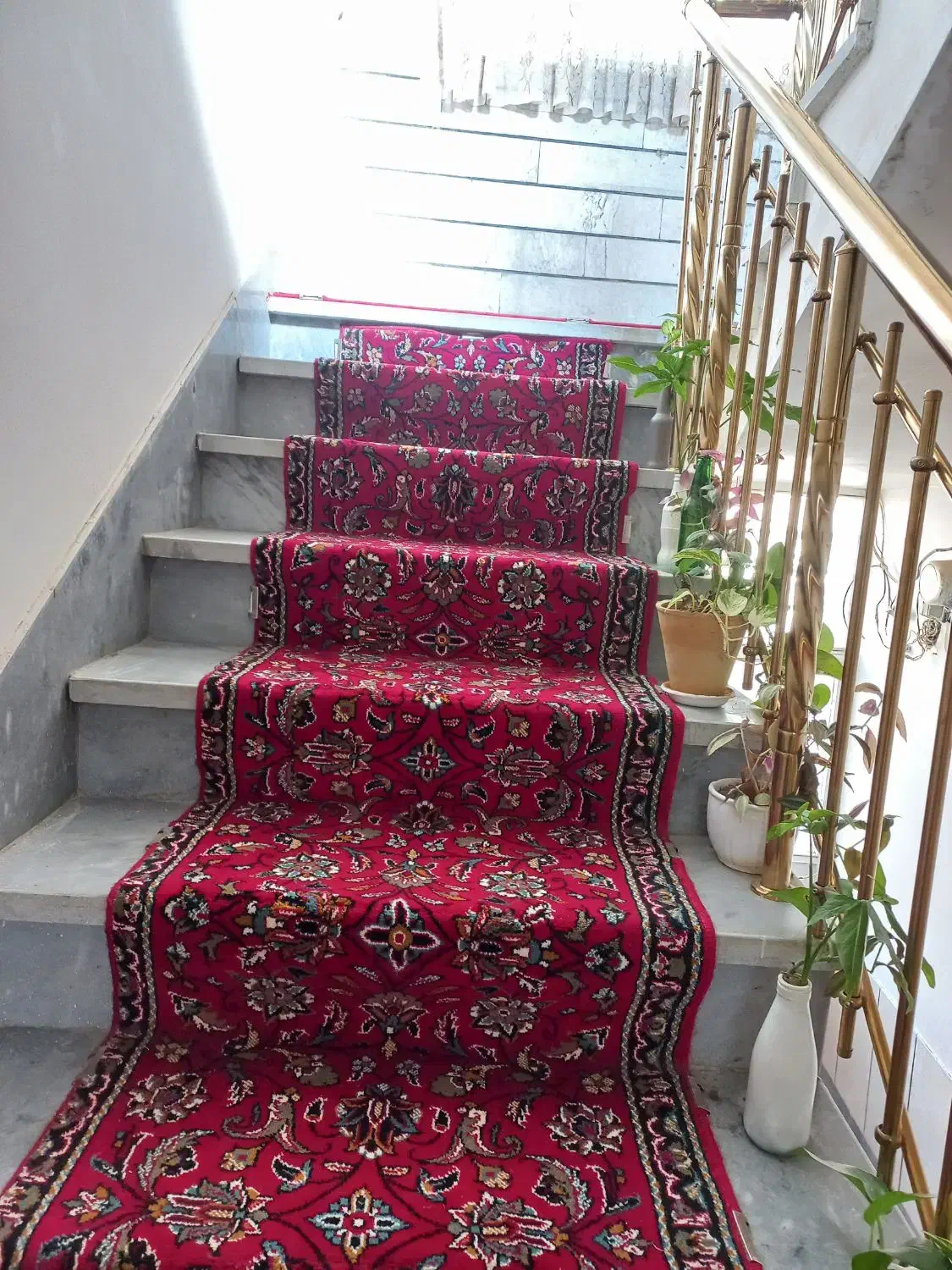 فروش فرش کناره|فرش|گلپایگان, |دیوار