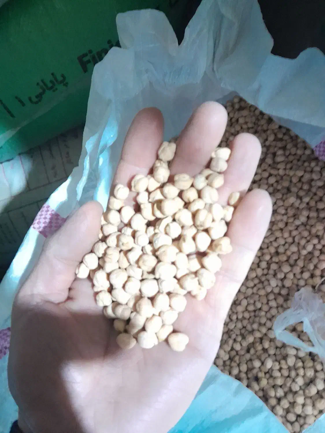 نخود و عدس|خوردنی و آشامیدنی|بزینه رود, |دیوار