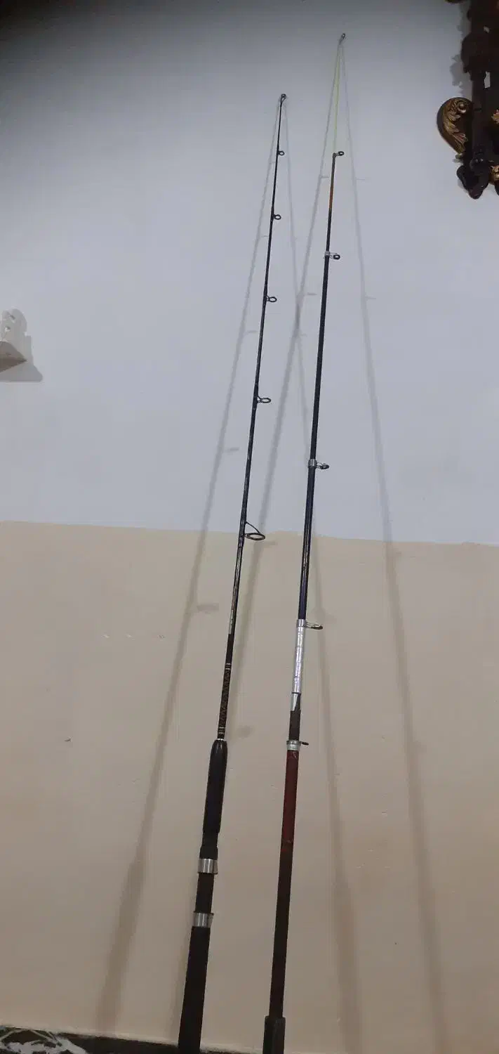 چوب ماهیگیری/ لانسه،وپیچ گوشتی شارژی|ماهیگیری|لردگان, |دیوار