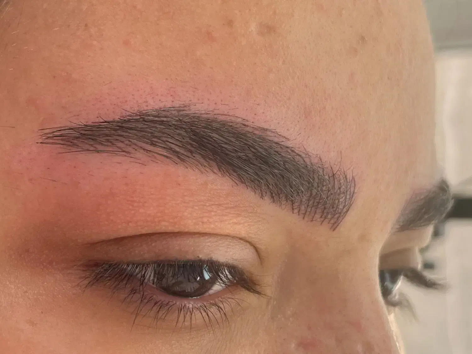 مدل برای ابرو نیازمندم بدون تتو|خدمات آرایشگری و زیبایی|بجنورد, |دیوار