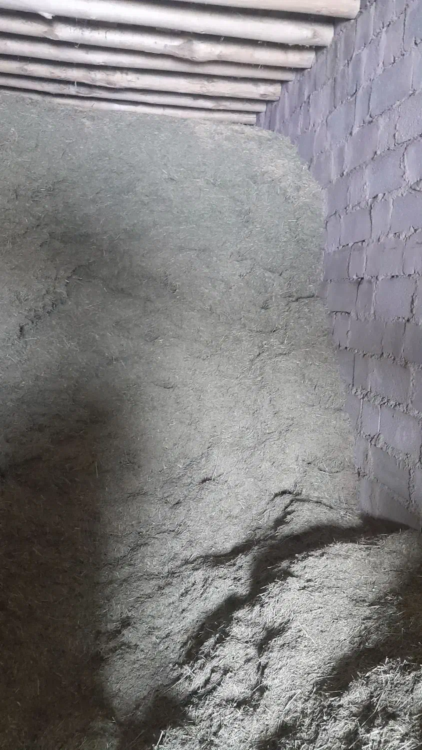 علوفه یا گیاه دام|لوازم جانبی حیوانات|کرفتو, |دیوار