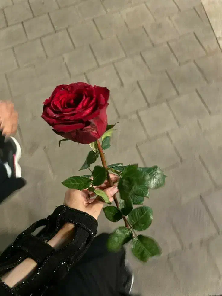 زیبای|خدمات آرایشگری و زیبایی|مریوان, |دیوار