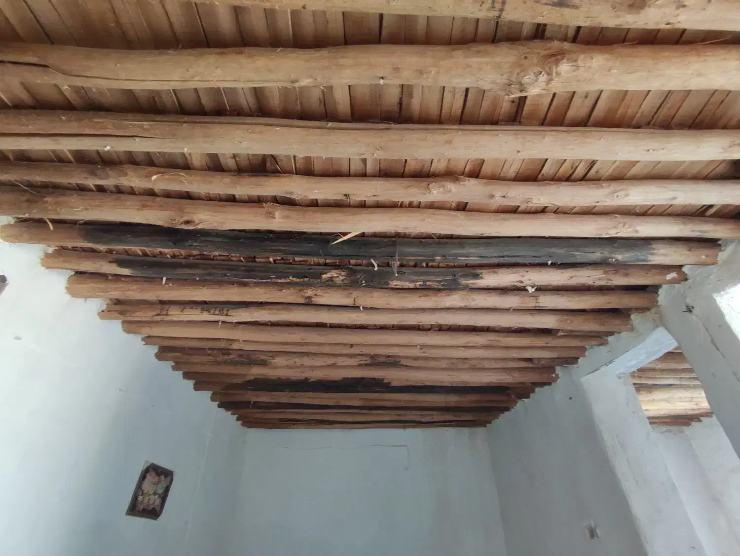 اسپی چوب(تیره|مصالح و تجهیزات ساختمان|دهلران, |دیوار