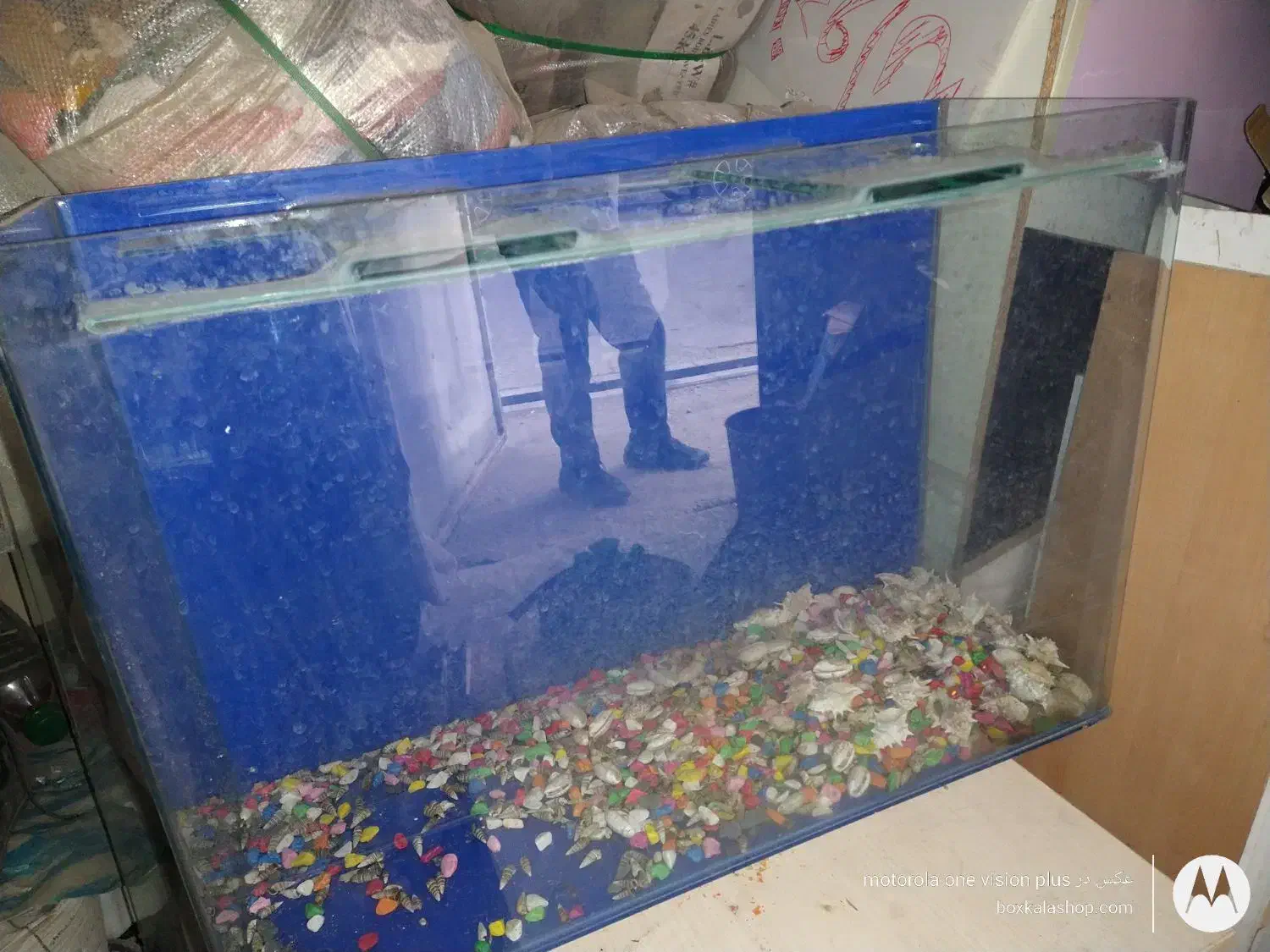 آکواریوم لبه خم  بسیار زیبا|ماهی|تهران, استاد معین|دیوار