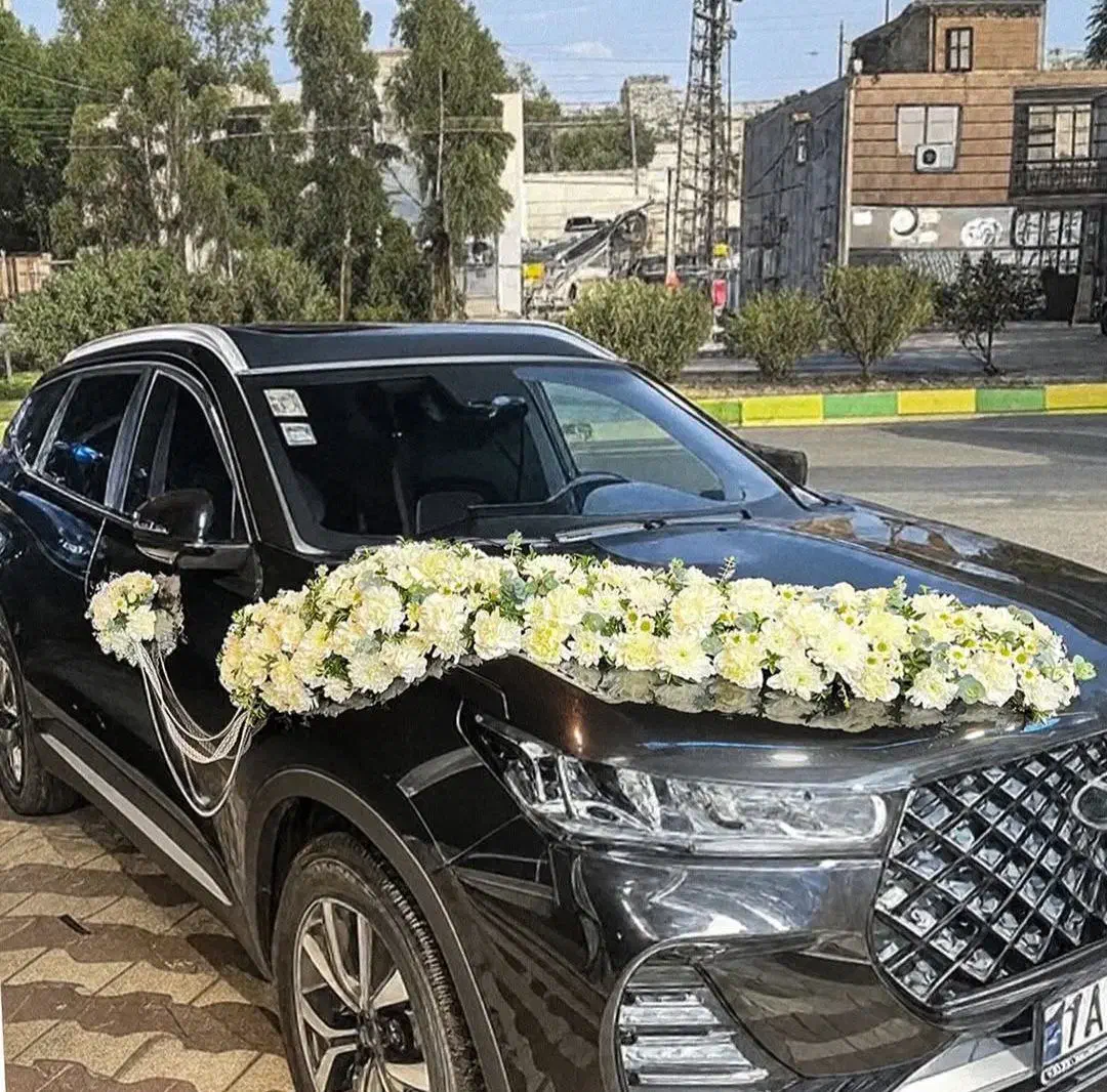 گل آرایی ماشین عروس در محل شما|خدمات پذیرایی، مراسم|تهران, مسعودیه|دیوار
