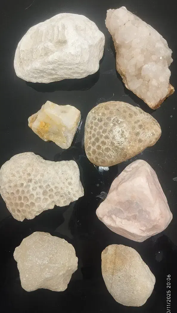 سنگ های عقیق عصلی ، ،کوارتز ،سیترین،صف دو کفه ای|کلکسیون و سرگرمی|چالدران, |دیوار