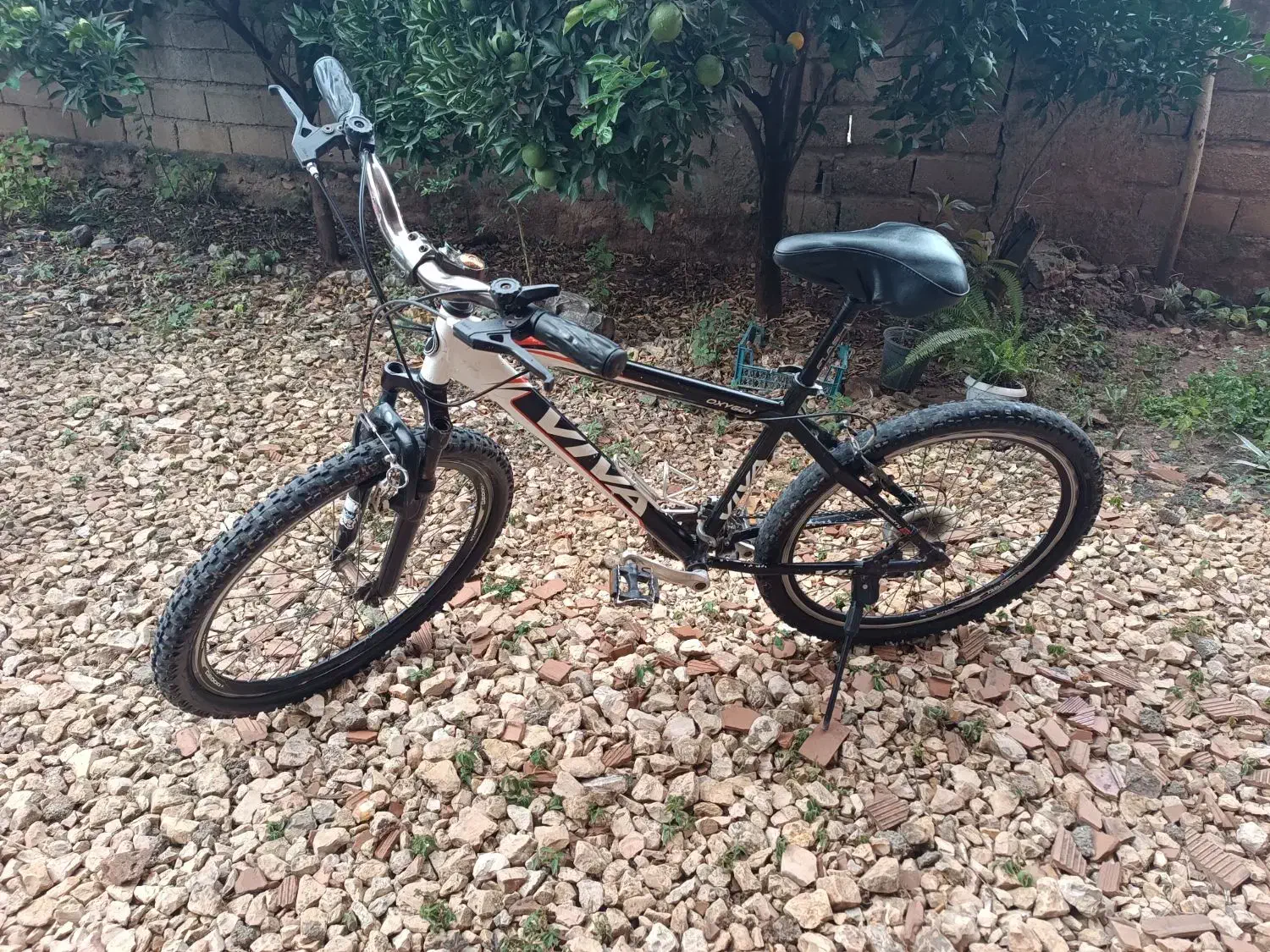 دوچرخه ویوا|دوچرخه، اسکیت، اسکوتر|نکا, |دیوار