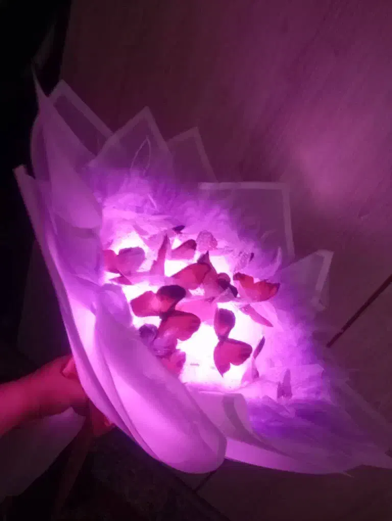 دسته گل پروانه ای و ربانی|صنایع دستی و سایر لوازم تزئینی|شیراز, دباغ خانه|دیوار