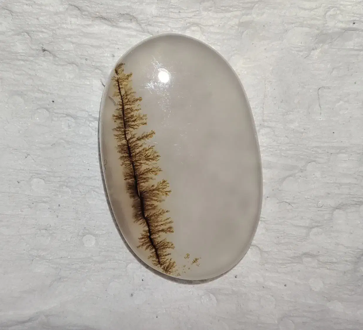 نگین انگشتر شجر درختان ردیفی|جواهرات|نورآباد, |دیوار