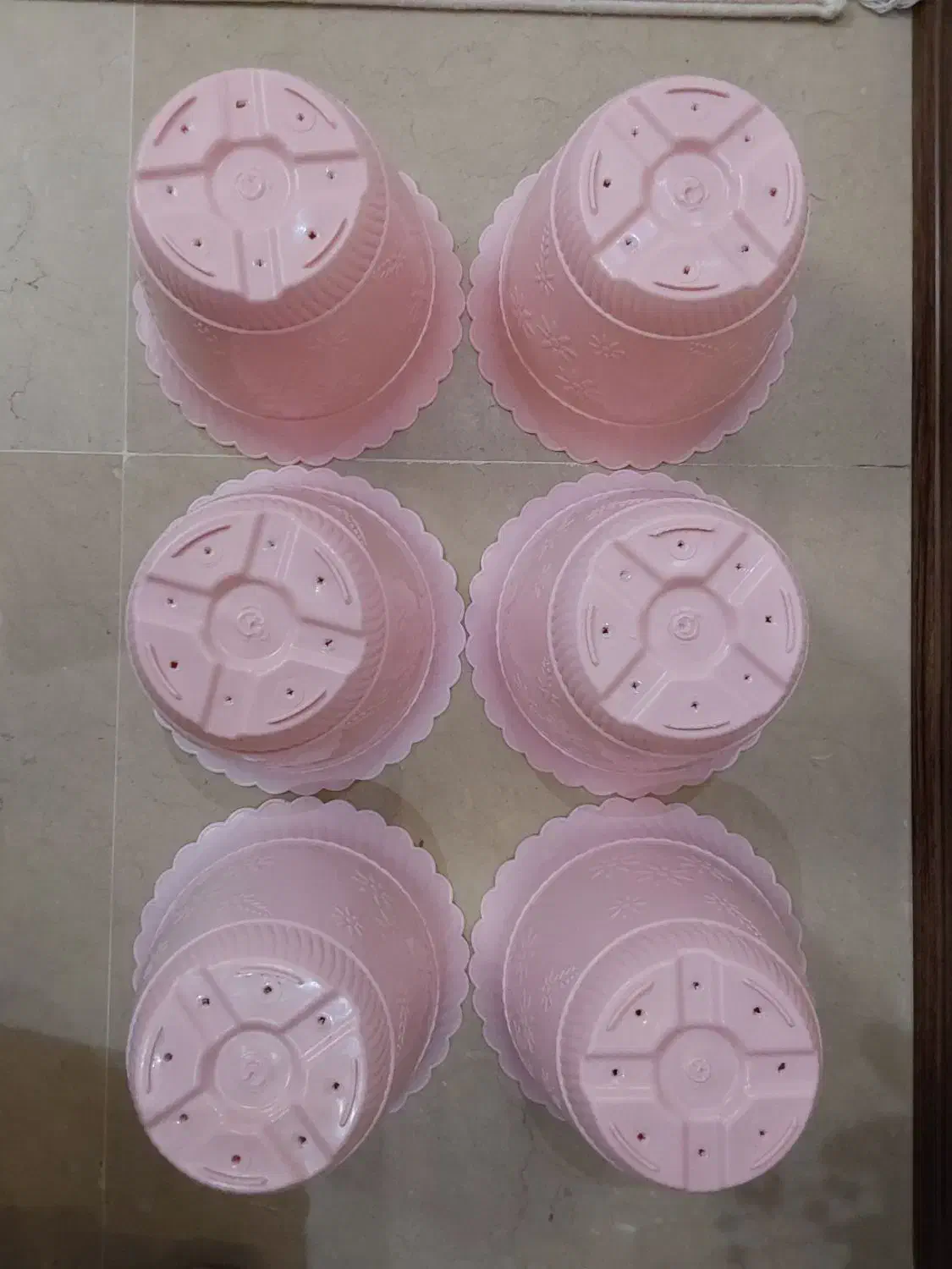 گلدان پلاستیکی سالم|گل و گیاه طبیعی|تهران, تهرانپارس غربی|دیوار