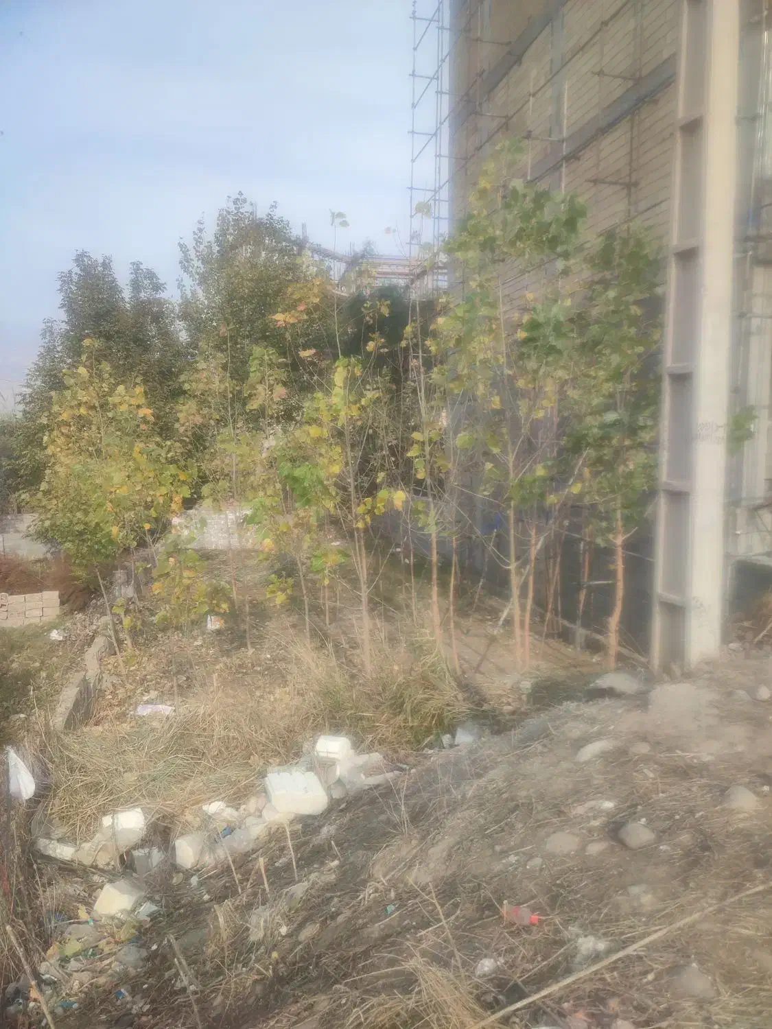 زمین مشارکت ، زمین ازما، ساخت از شما|مشارکت در ساخت املاک|توتکابن, |دیوار