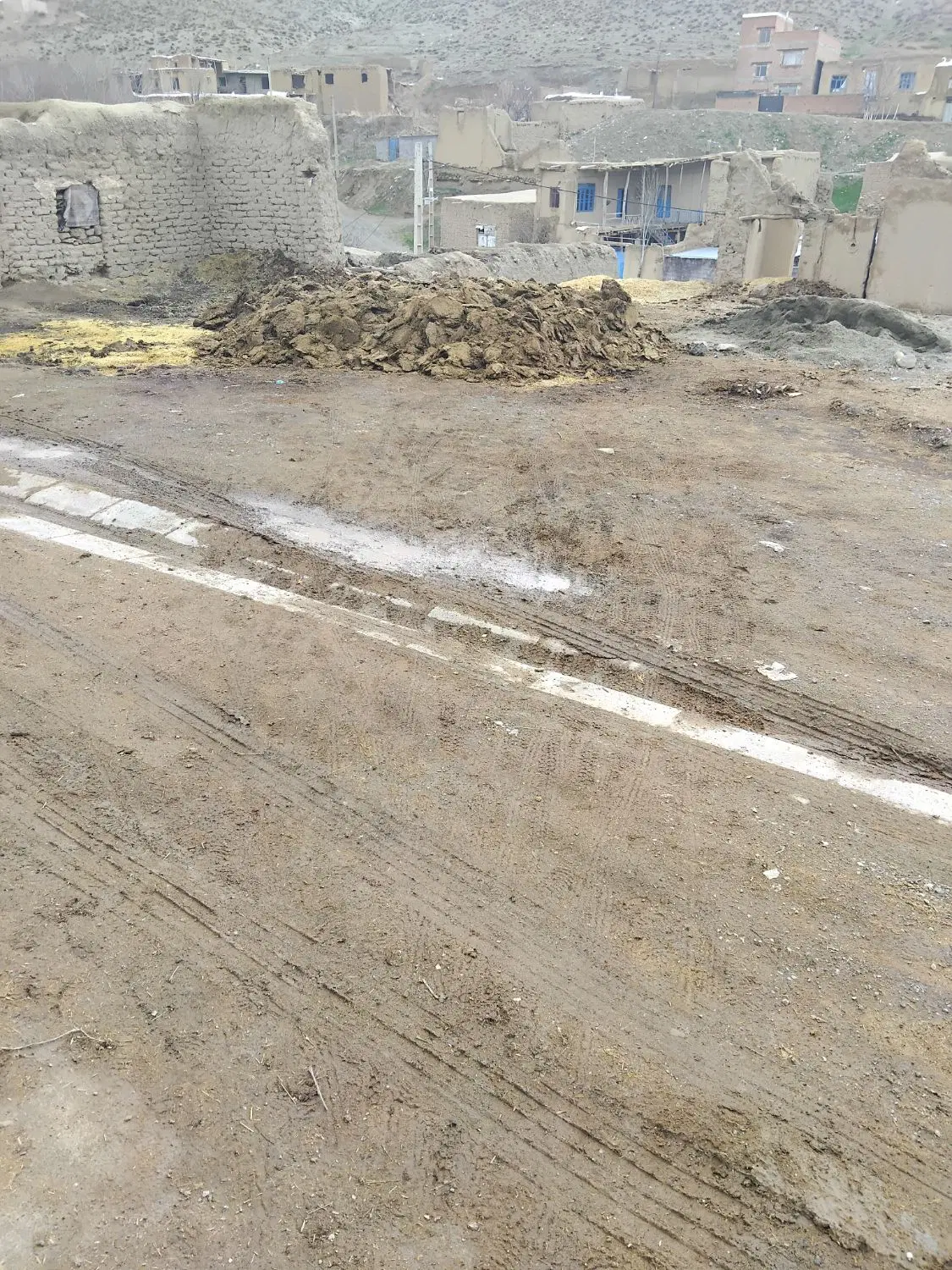 کودگوسفندی|خدمات باغبانی و درختکاری|همدان, |دیوار