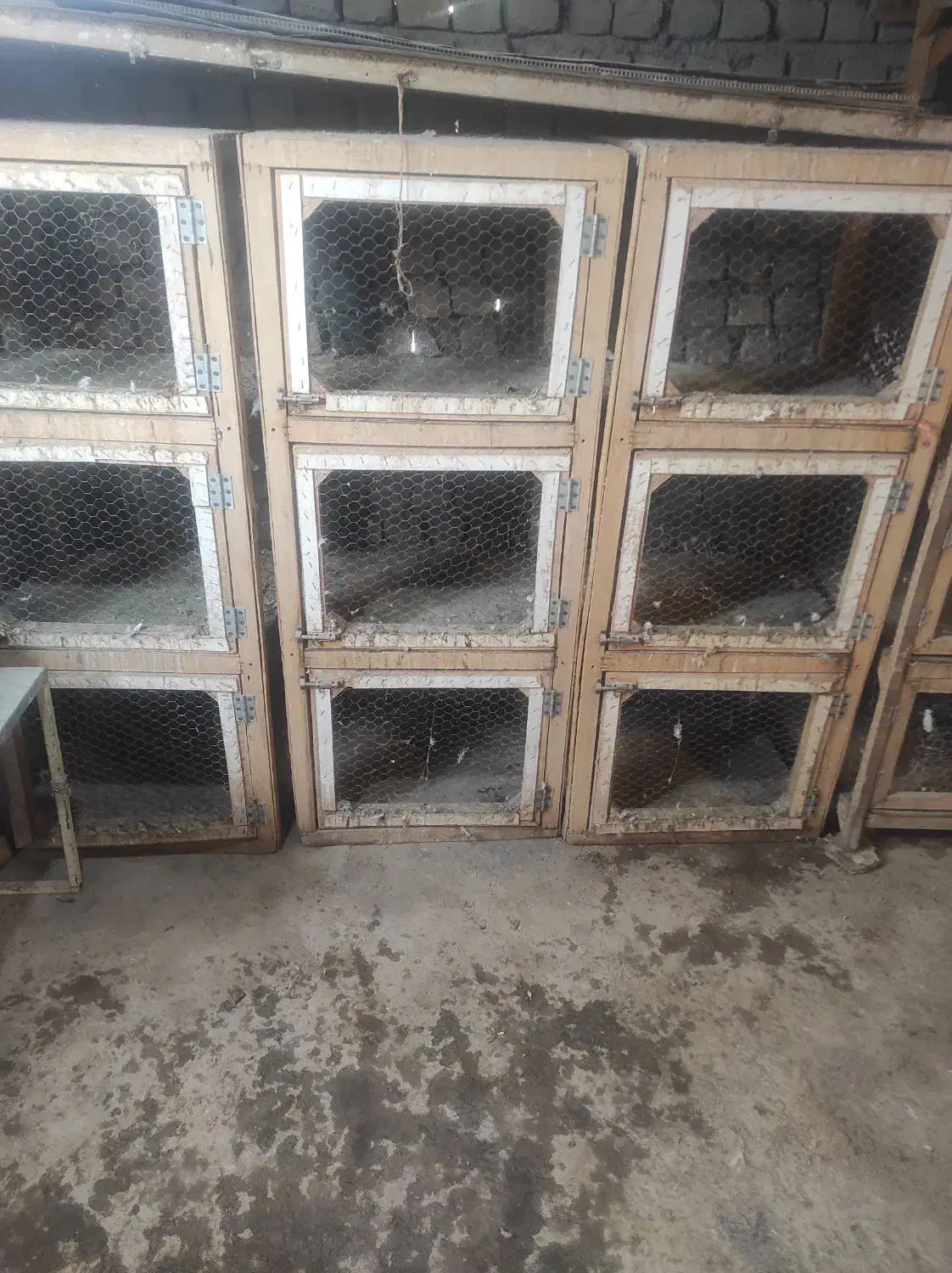 قفس جفتگاه|لوازم جانبی حیوانات|طرقبه, |دیوار