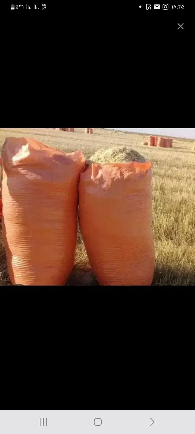 کاه گندم|عمده‌فروشی|جنگل, |دیوار