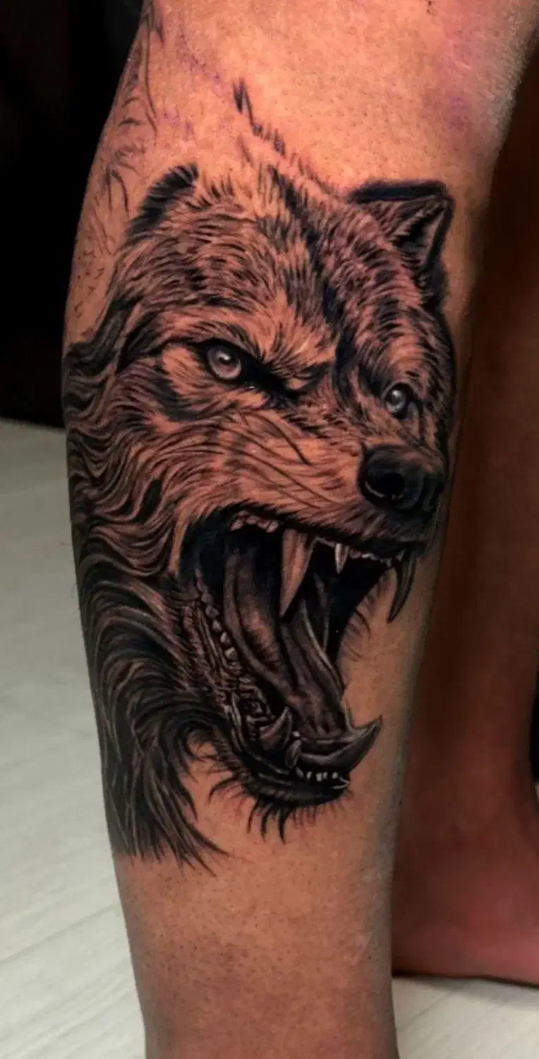 تتو اقساطی قزوین|خدمات آرایشگری و زیبایی|محمدیه-قزوین, |دیوار