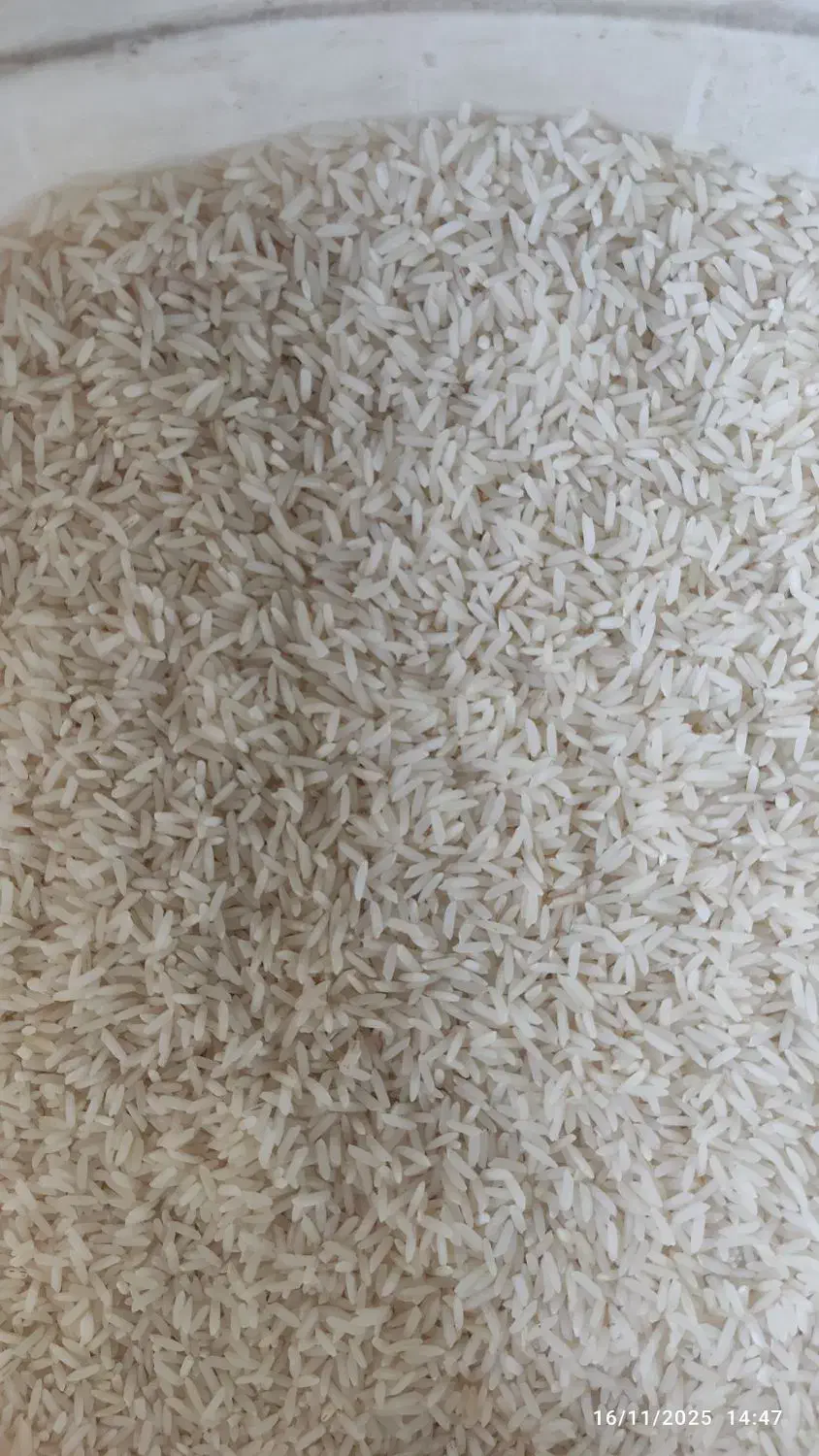 فروش برنج طارم هاشمی قیمت توافقی|خوردنی و آشامیدنی|قائم‌شهر, |دیوار