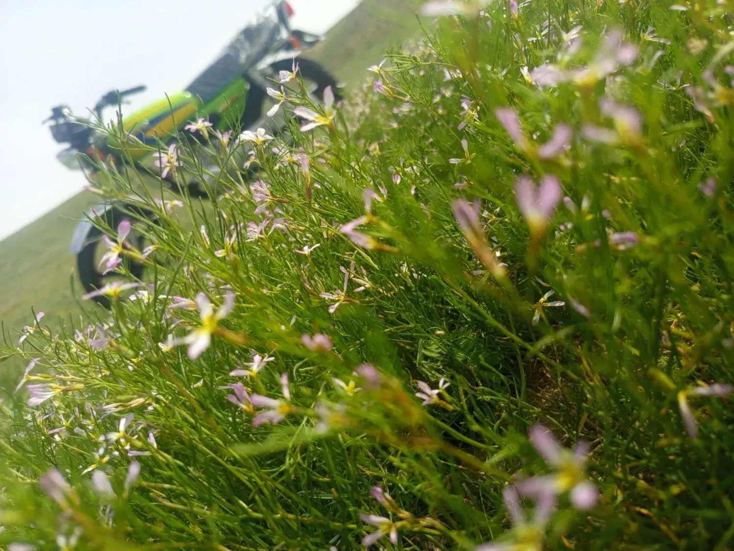 ۲۰۰|موتورسیکلت|مشهد, همت آباد|دیوار