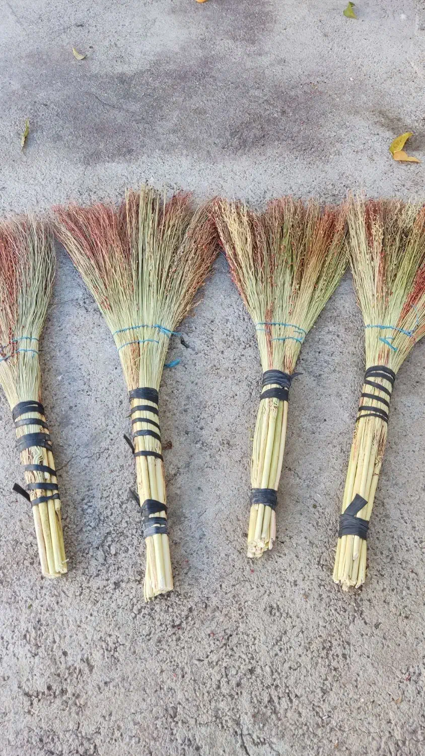 فروش عمده جاروخانگی|لوازم نظافت|الشتر, |دیوار